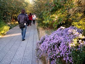 23-high-park2.jpg